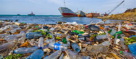 Nel Nei Mari Ci Sar Pi Plastica Che Pesci Ecobnb