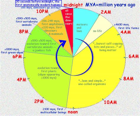 The Geological Time Scale