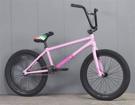 13 Best BMX Bikes (Brands) for Racers, Tricksters, and Flyers