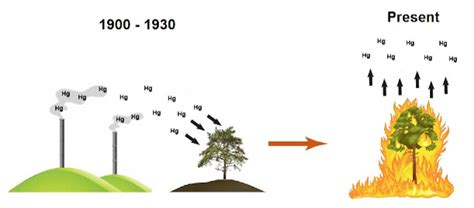 Mercury Pollution From Decades Past May Have Been Re Released By