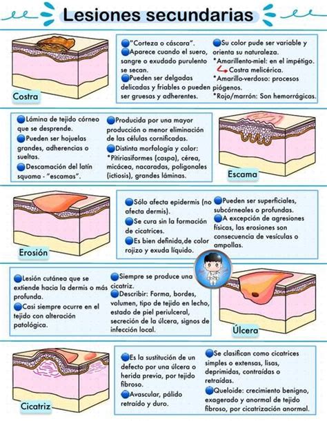 Lesiones Secundarias Jhan Carlos Ticlla Mori uDocz Anatomía de la