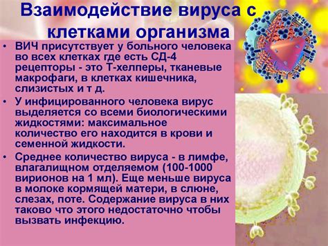 Вирус иммунодефицита человека - презентация онлайн