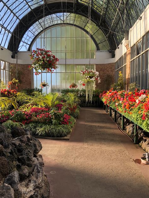 Auckland Domain Wintergardens 100 Year Old Glasshouses Re Open To The