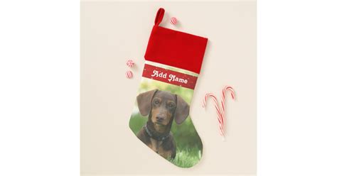 Personalized Dachshund Dog Christmas Stocking | Zazzle