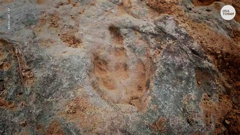 4300 Dinosaur Footprint Fossils Uncovered In China