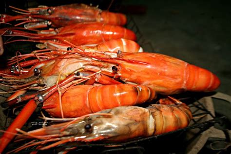 Macrobrachium rosenbergii. | Food, Meat, Shrimp