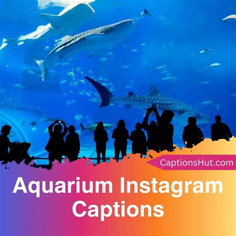 150 Aquarium Instagram Captions With Emojis Copy Paste