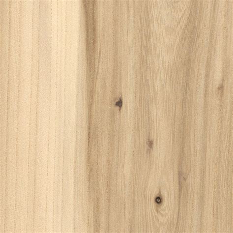 American Elm | The Wood Database (Hardwood)