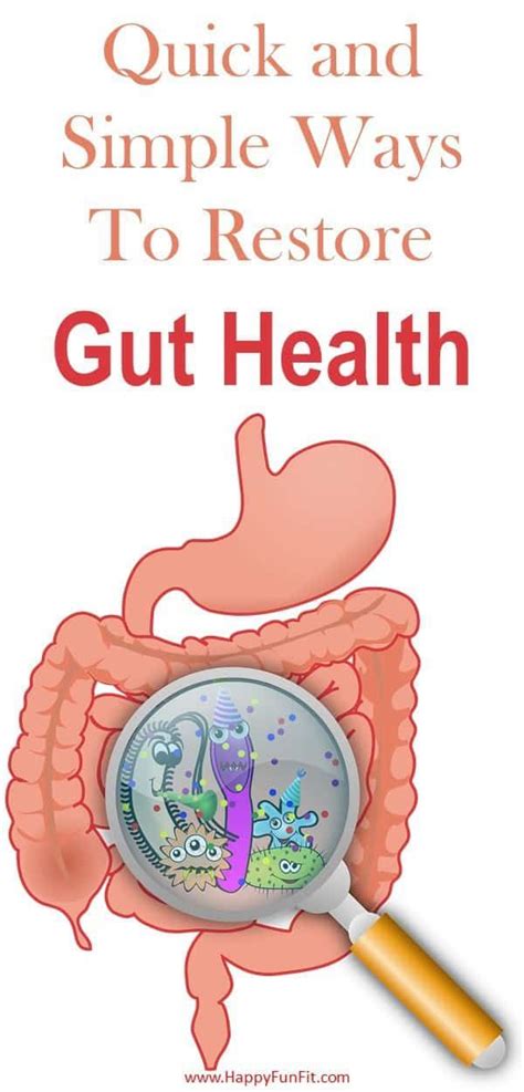 How To Restore Gut Health The Right Way Artofit