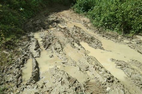 Jalan Rusak Parah Sawah Di Linge Tak Lagi Berfungsi Analisa Aceh