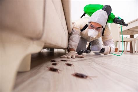 Best Pest Control Products