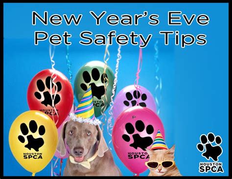 New Year S Eve Pet Safety Tips Houston Spca Pet Safety Pet Care