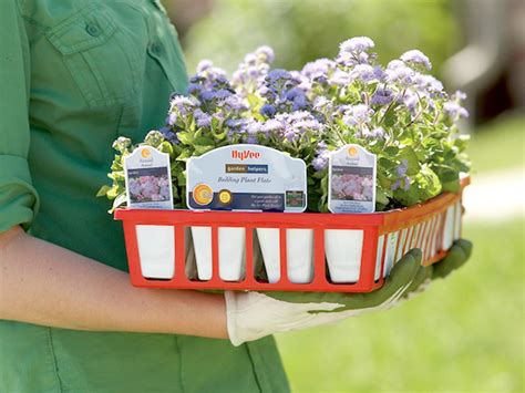 Lawn And Garden Hy Vee