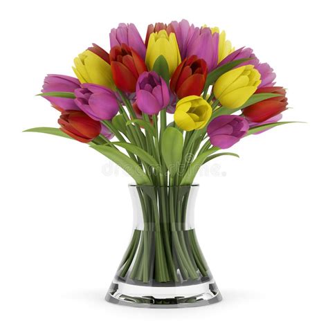 Bouquet Of Tulips In Glass Vase Isolated On White Stock Illustration