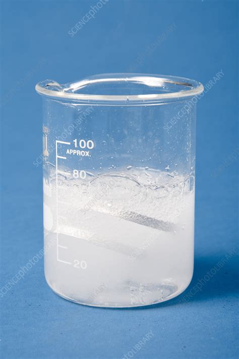 Magnesium Reacting With Acid Stock Image C039 1051 Science Photo