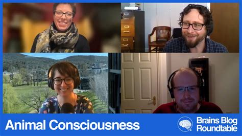 The Brains Blog — Roundtables