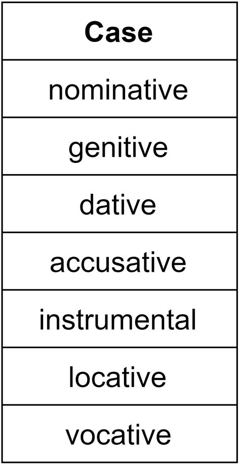 Understanding Polish Adjectives