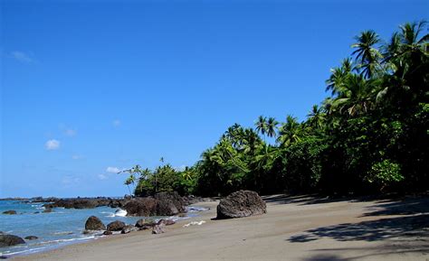 Corcovado National Park Top Tours and Tips | experitour.com