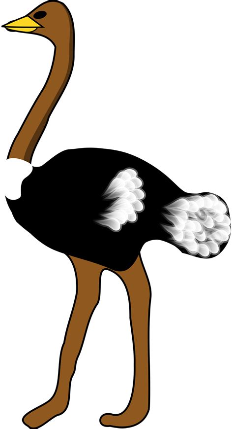 Detail Ostrich Clipart Black And White Koleksi Nomer