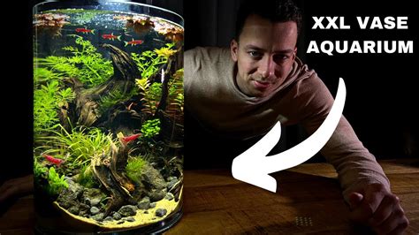 Creating A Giant No Filter Vase Aquarium Step By Step Aquascape