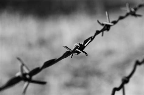 Filebarbed Wire On A Moto Ride Bw