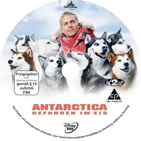 Antarctica Gefangen Im Eis German Dvd Covers