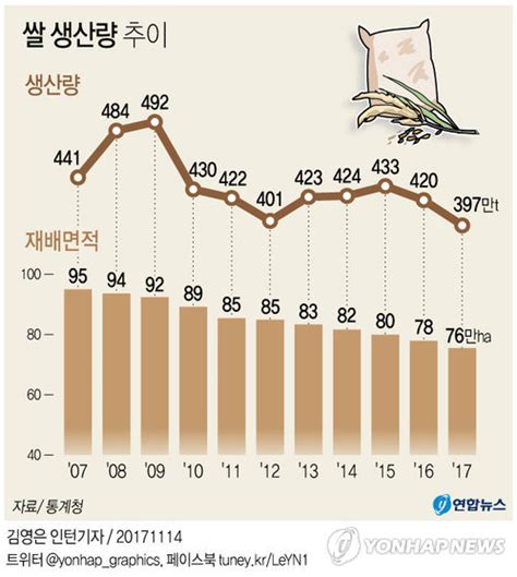 그래픽 올해 쌀 생산량 400만t 미달1980년 이후 37년 만에 최소 연합뉴스