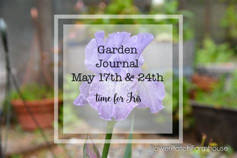 Garden Journal May 17th And 24th Flower Patch Farmhouse