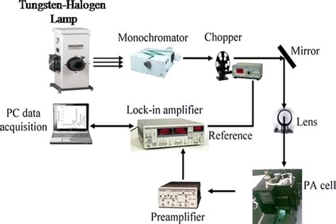 The Schematic Diagram Of The Pa Experimental Set Up Download Scientific Diagram