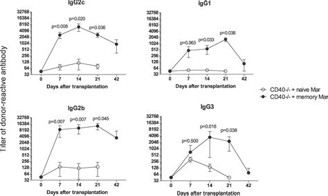 Cd40 Independent Help By Memory Cd4 T Cells Induces Pathogenic