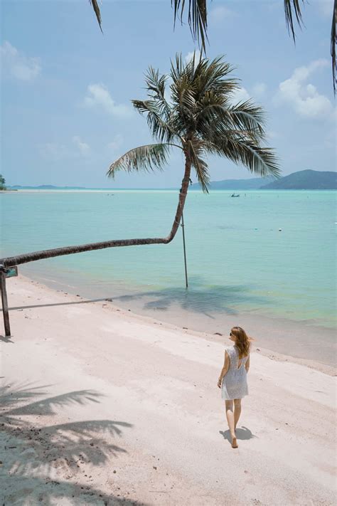 Koh Samui Palm Trees Stunning Viewpoints You Can T Miss