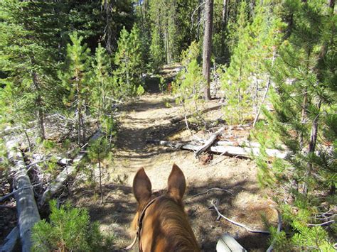 Hollys Horse Tales And Trails Cultus Corral Horse Camp Three Sisters