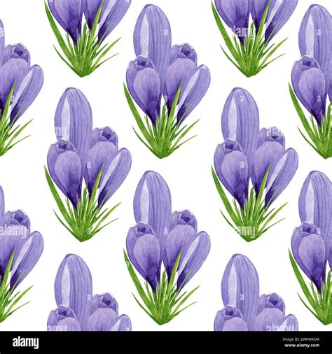 Watercolor Purple Crocuses Seamless Pattern Spring Flowers Digital