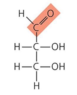 molécules organiques complexes Flashcards Quizlet