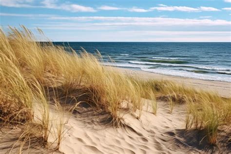 Paisagem Marinha Dunas Arenosas E Relva De Praia Belas Dunas