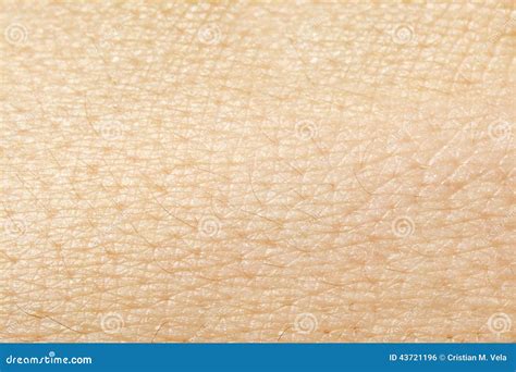 Human Skin Texture Stock Photo Image Of Textured Texture 43721196