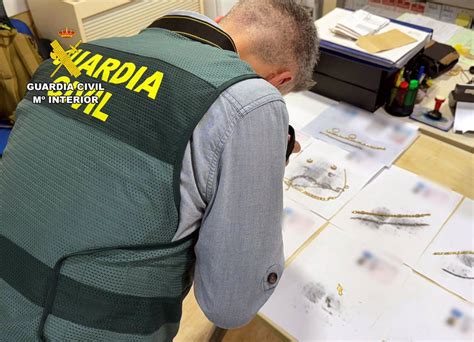 Guardia Civil Detiene A Un Vecino De Abar N Por Sustraer Gran Cantidad