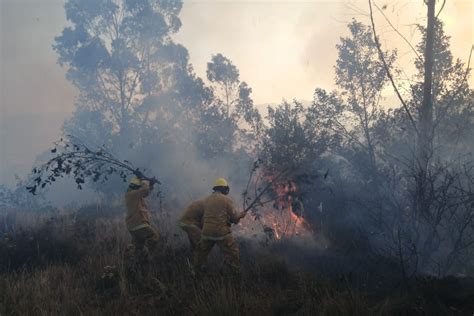 Ncash Incendio Forestal Arrasa Hect Reas De Pastos Naturales Y