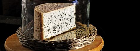 Le fromage - Fromage AOP Bleu d'Auvergne