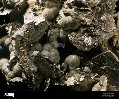 Crystals Of Arsenopyrite With Pyrite And Melniko Vite At Left A Semi