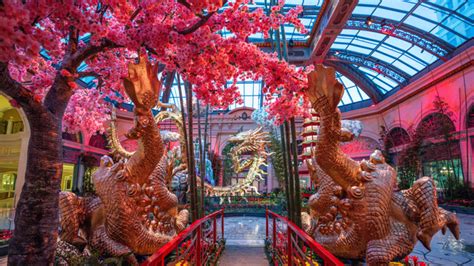 Bellagio Conservatory Embraces The Year Of The Dragon With Annual Display