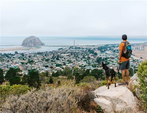 20 Best Things To Do In Morro Bay California