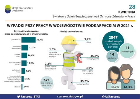 Urz D Statystyczny W Rzeszowie Infografiki Us Infografika