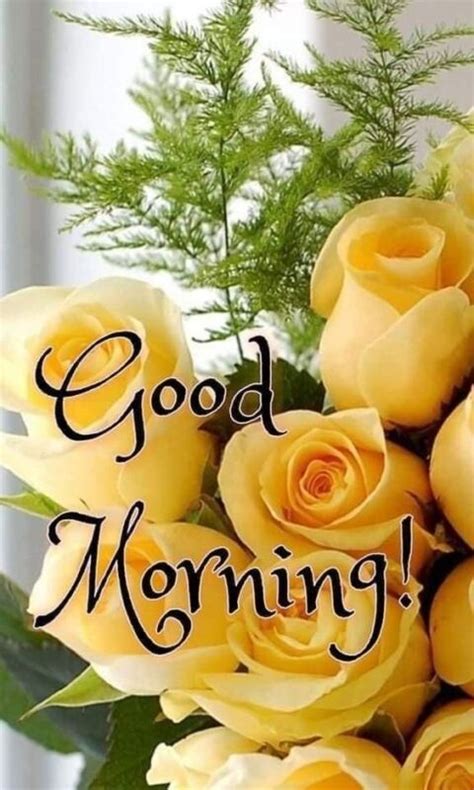 Fantastic Good Morning Yellow Rose Image Good Morning Pictures