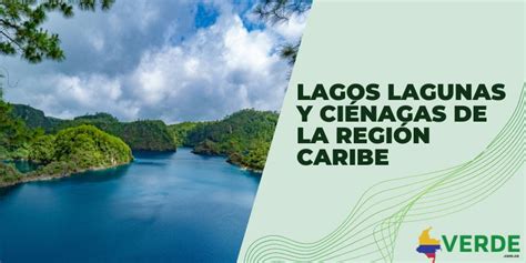 Diferencias Entre Lagos Y Ci Nagas Colombia Verde