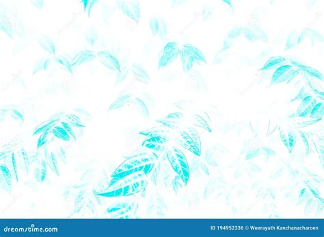 Beautiful Abstract Color Gray and Blue Flowers on Dark Background and ...