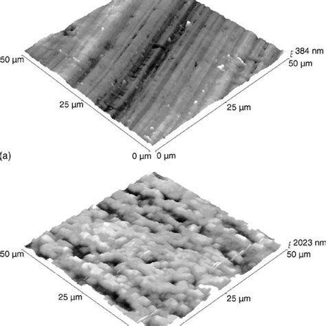 Sem Micrographs Showing The Copper Surface Before A And After