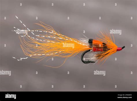 Atlantic Salmon Fishing Fly An Ally S Arctic Double Shrimp Fly Taken In