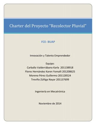 Charter Del Proyecto Recolector Pluvial Pdf Descarga Gratuita