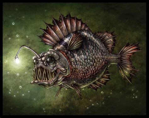 Image Result For Angler Fish Art Angler Fish Art Angler Fish Fish Art